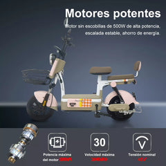 MOTO ELECTRICA CX-D10