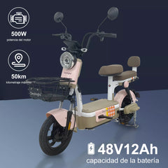 MOTO ELECTRICA CX-D10