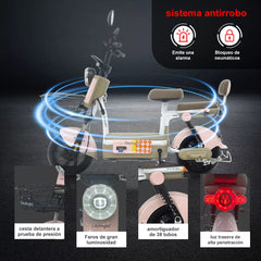 MOTO ELECTRICA CX-D10
