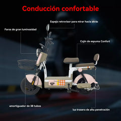 MOTO ELECTRICA CX-D10