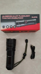 W8081-B702 Linterna LJK